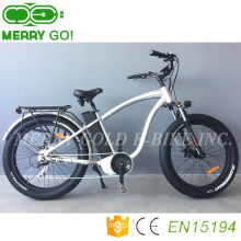 En15194 Approved Tektro Disc Brake Electric Bike